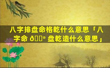 八字排盘命格乾什么意思「八字命 💮 盘乾造什么意思」